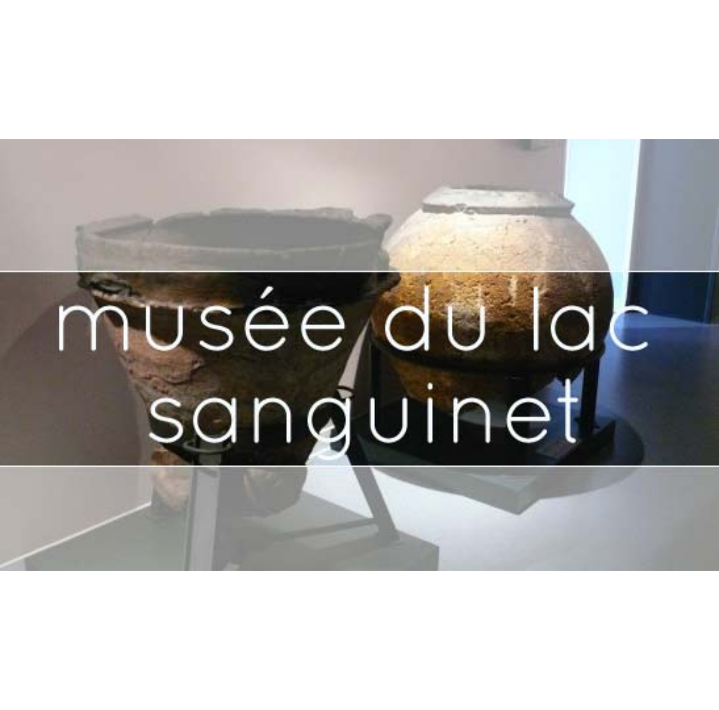 logo musee lac sanguinet landes eveha mediation archeologie pirogues